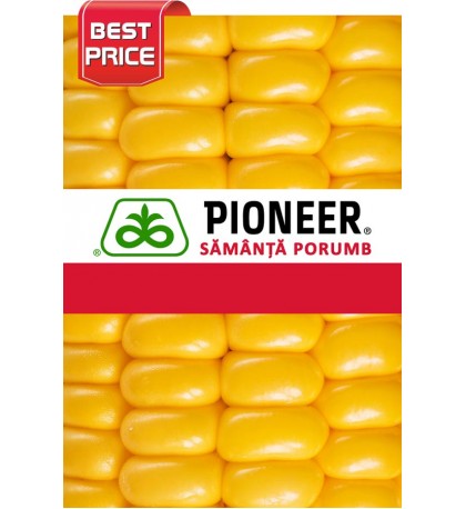 SAMANTA PORUMB PIONEER PR32F73